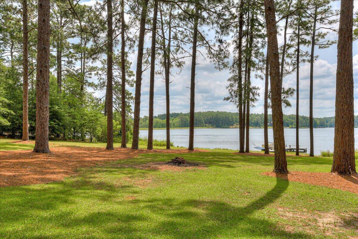 375 Edisto Lake Road Wagener, SC 29164 - Photo 47 of 60 47