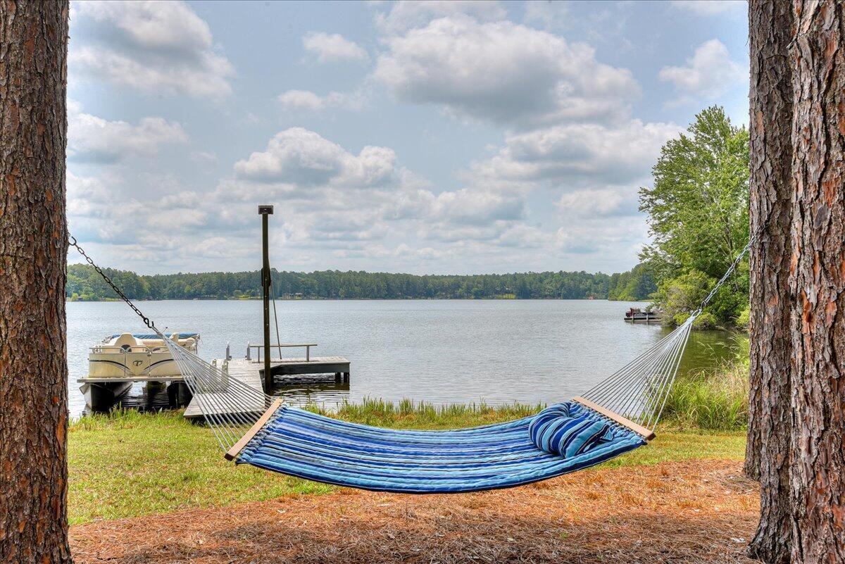375 Edisto Lake Road Wagener, SC 29164 - Photo 51 of 60 51