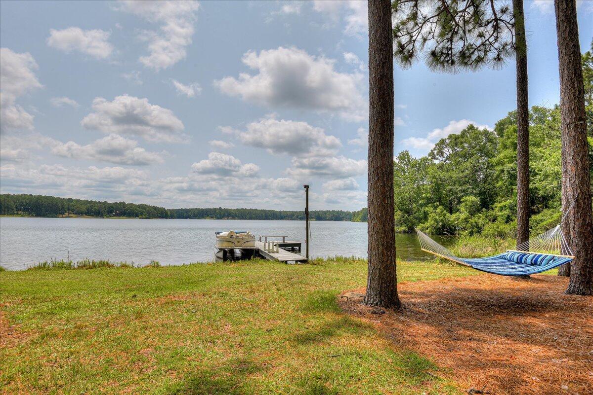 375 Edisto Lake Road Wagener, SC 29164 - Photo 52 of 60 52