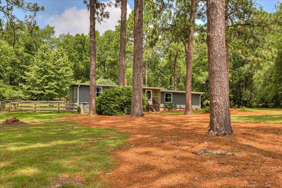 375 Edisto Lake Road Wagener, SC 29164 - Photo 53 of 60 53
