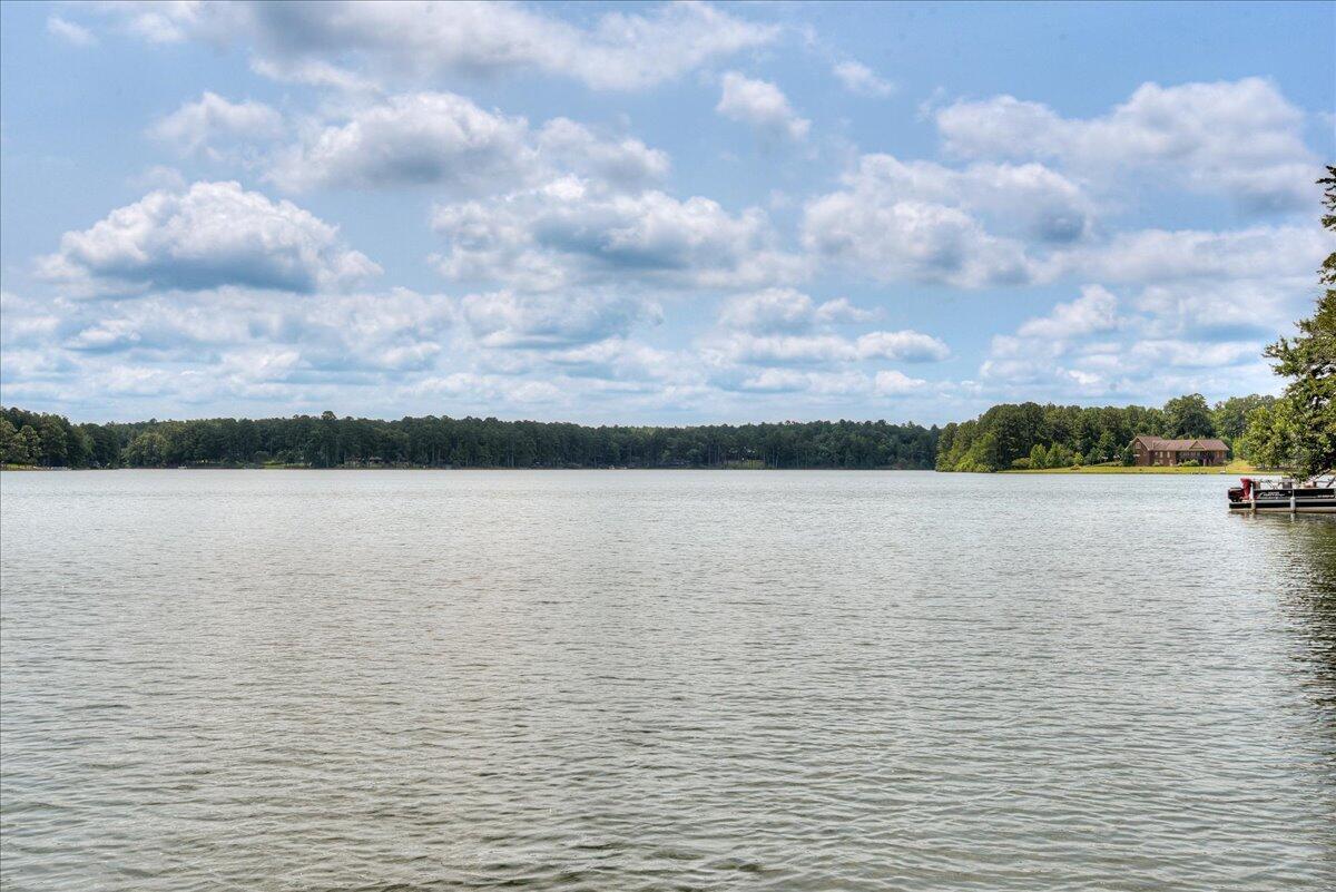 375 Edisto Lake Road Wagener, SC 29164 - Photo 54 of 60 54
