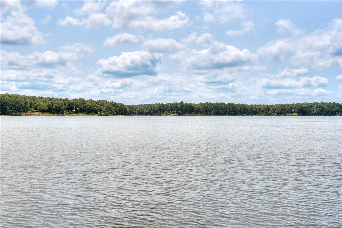 375 Edisto Lake Road Wagener, SC 29164 - Photo 55 of 60 55