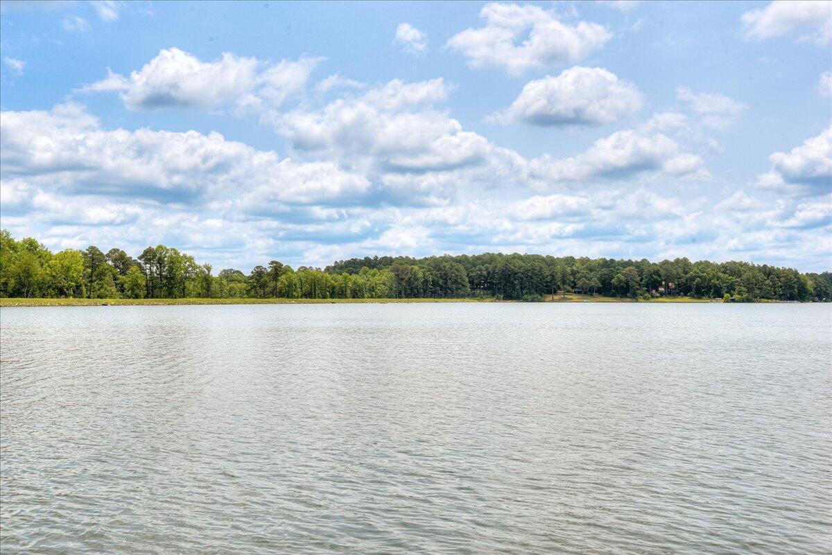 375 Edisto Lake Road Wagener, SC 29164 - Photo 56 of 60 56