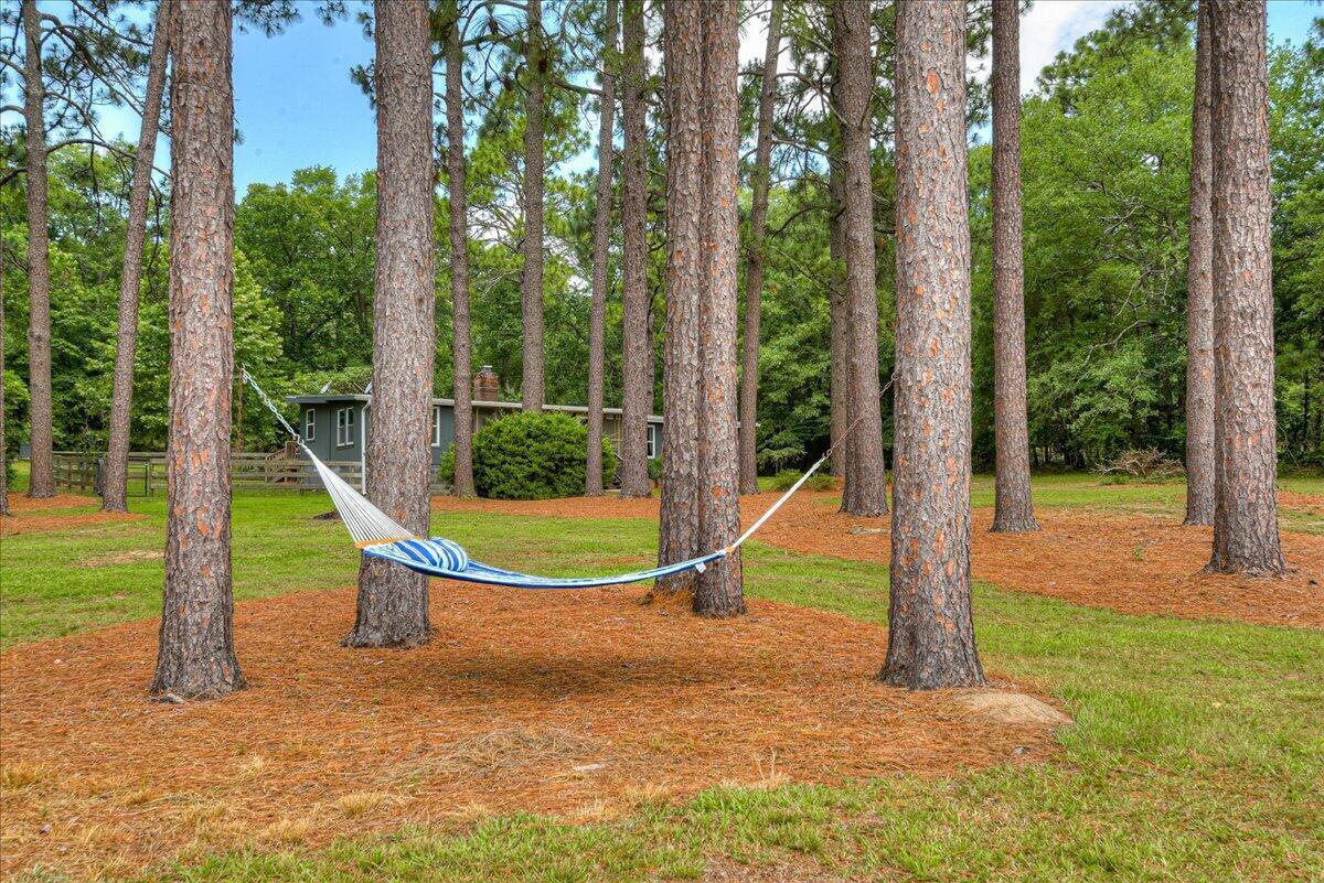 375 Edisto Lake Road Wagener, SC 29164 - Photo 57 of 60 57