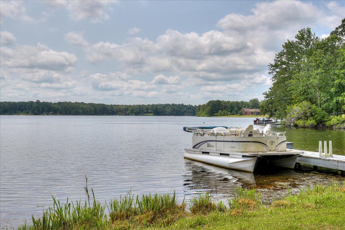 375 Edisto Lake Road Wagener, SC 29164 - Photo 58 of 60 59