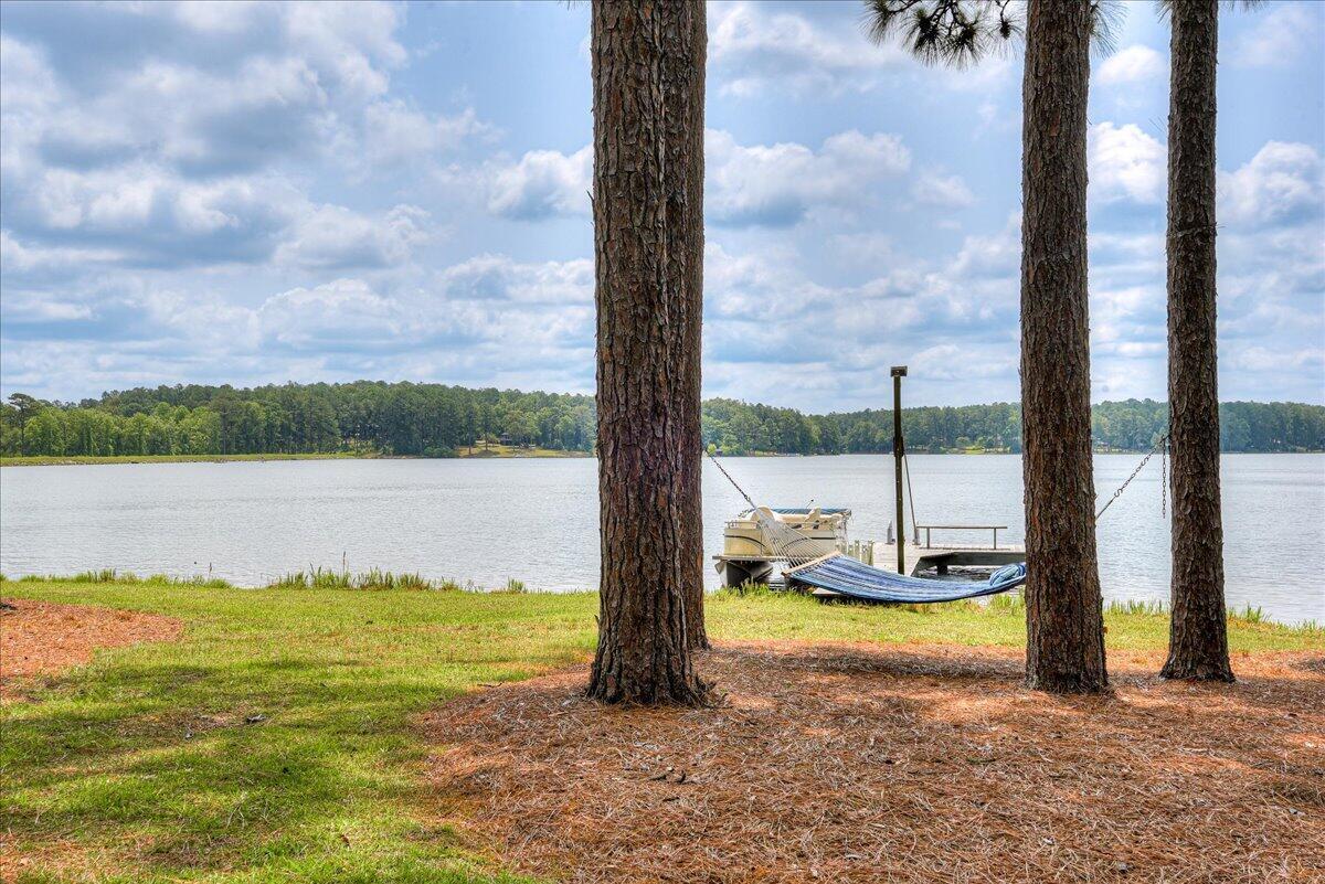 375 Edisto Lake Road Wagener, SC 29164 - Photo 7 of 60 7