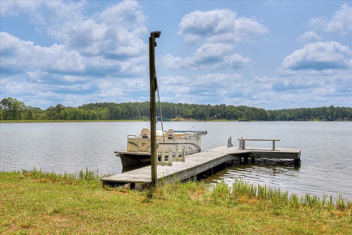 375 Edisto Lake Road Wagener, SC 29164 - Photo 8 of 60 8