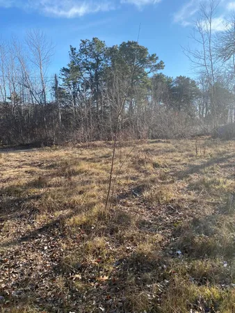 a view of a yard with trees in the background