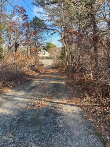 a view of a yard with large trees