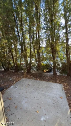 a view of dirt yard with a trees