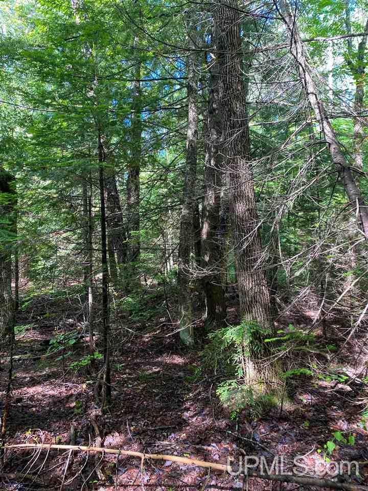 Tbd M-64 Ontonagon, MI 49953 - Photo 16 of 22