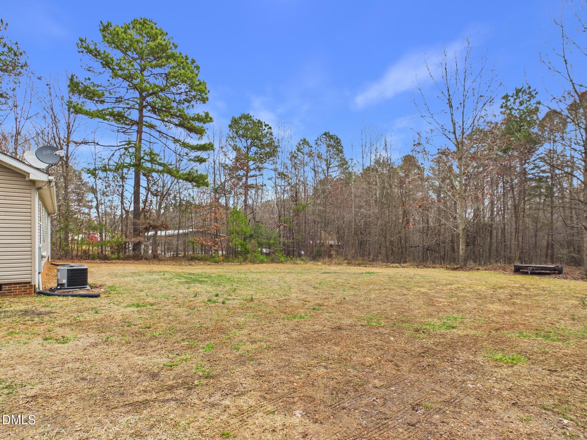 2528 Dalton Mill Road Bullock, NC 27507 - Photo 25 of 31 Backyard