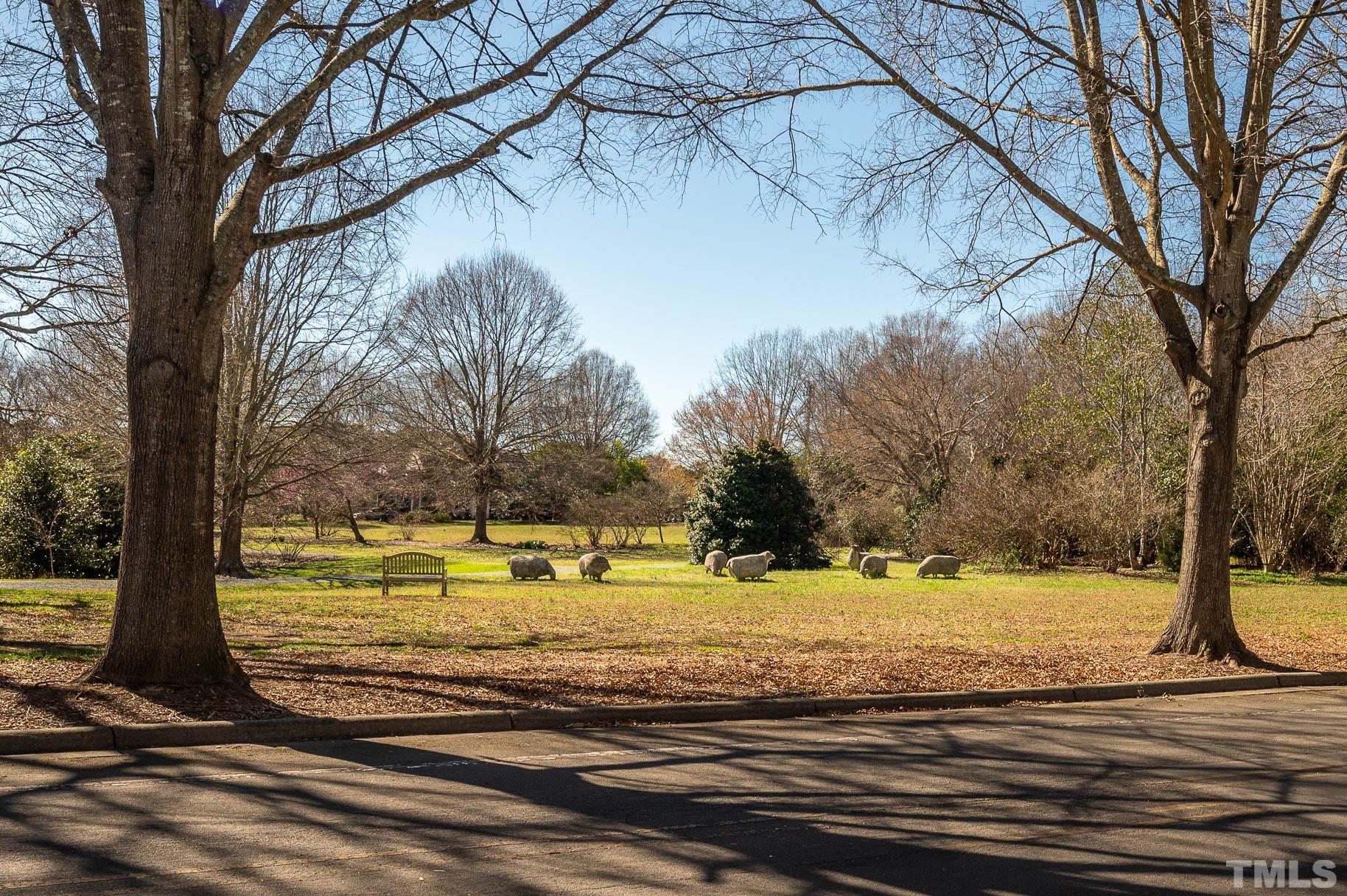 3 McDowell Pittsboro, NC 27312 - Photo 28 of 29 a view of a yard with trees