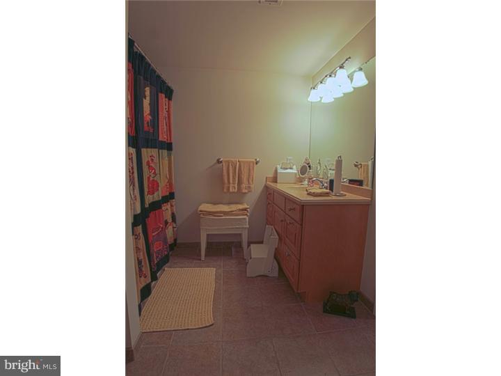 115 Vincent Road Paoli, PA 19301 - Photo 17 of 20 Bathroom