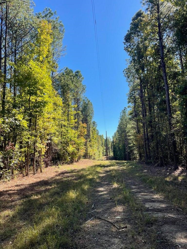 0 Cr 335 Tract 9 Drive Rienzi, MS 38865 - Photo 12 of 19 a view of a trees with a yard