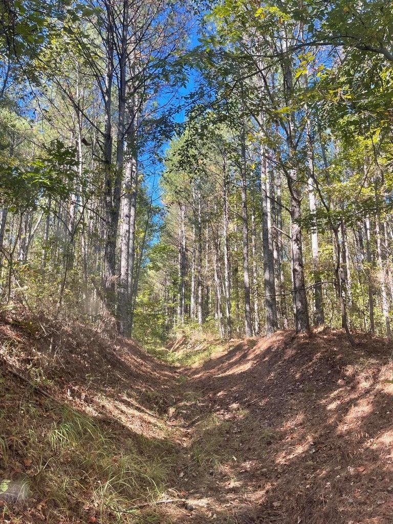 0 Cr 335 Tract 9 Drive Rienzi, MS 38865 - Photo 14 of 19 a view of outdoor space and yard
