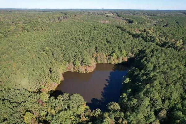 a view of a house with a lush green forest