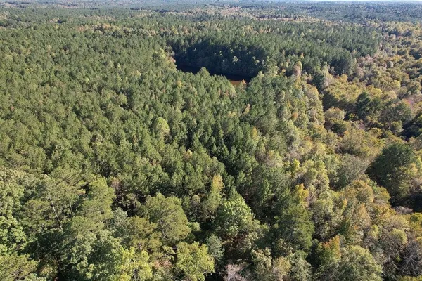 an aerial view of forest
