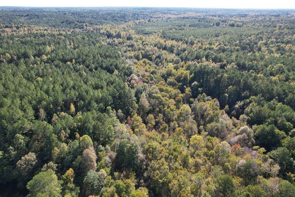 0 Cr 335 Tract 9 Drive Rienzi, MS 38865 - Photo 18 of 19 an aerial view of forest