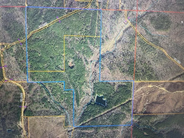 $522,450 | 0 Cr 335 Tract 9 Drive, Rienzi, MS 38865