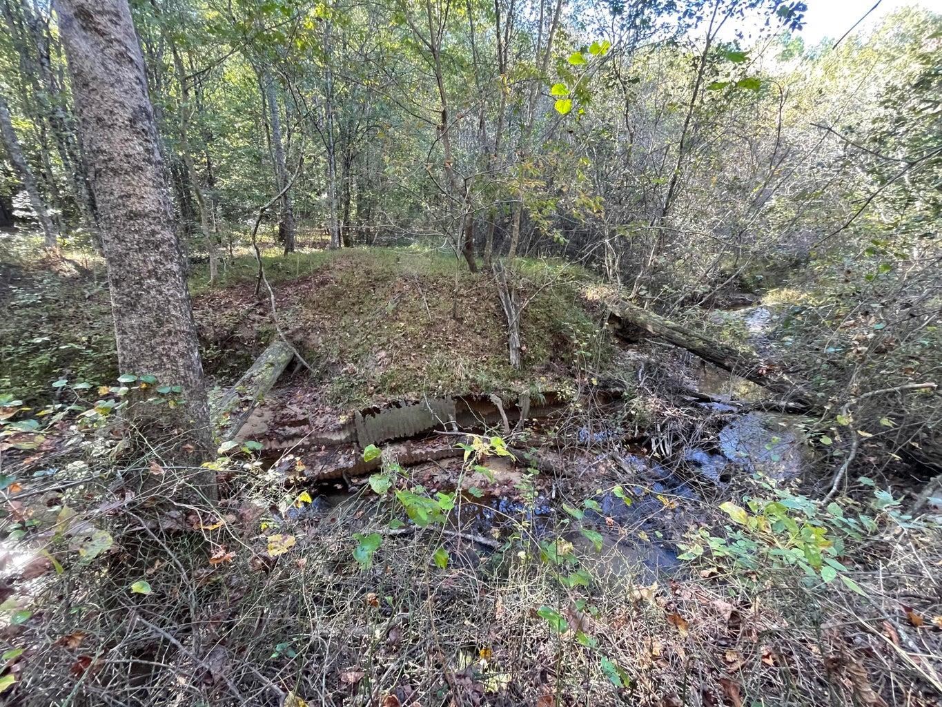 0 Cr 335 Tract 9 Drive Rienzi, MS 38865 - Photo 2 of 19 a view of a forest that has a tree