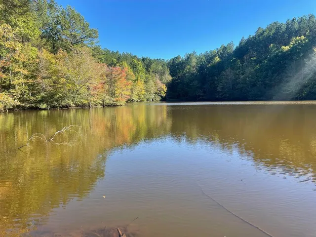 a view of a lake with houses in the back