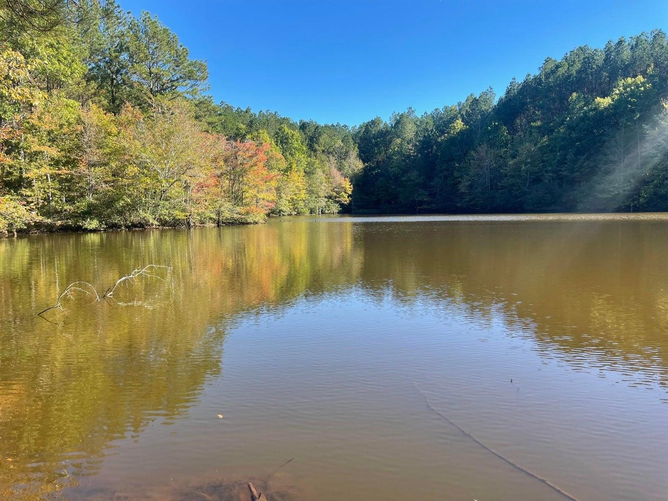 0 Cr 335 Tract 9 Drive Rienzi, MS 38865 - Photo 3 of 19 a view of a lake with houses in the back