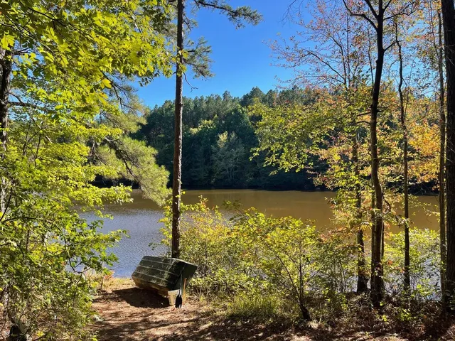 a view of outdoor space and a yard