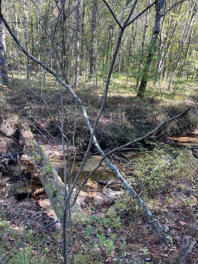 0 Cr 335 Tract 9 Drive Rienzi, MS 38865 - Photo 6 of 19 a backyard of a house with lots of green space
