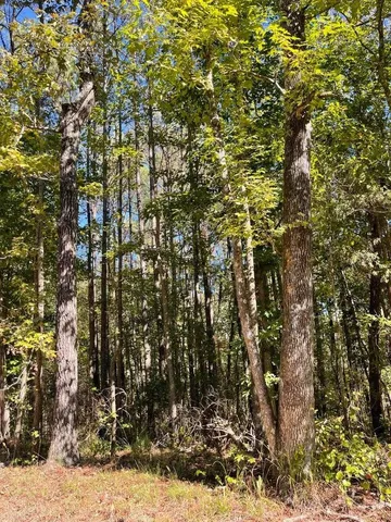 a view of a house with a snow on the road