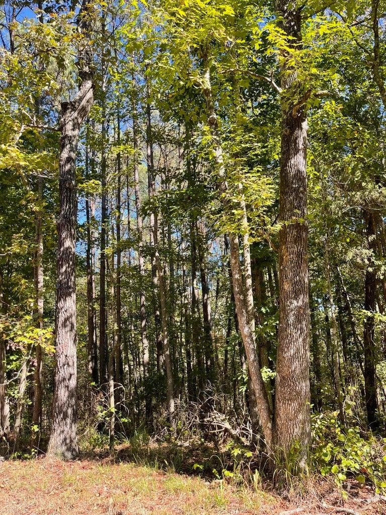 0 Cr 335 Tract 9 Drive Rienzi, MS 38865 - Photo 9 of 19 a view of a yard