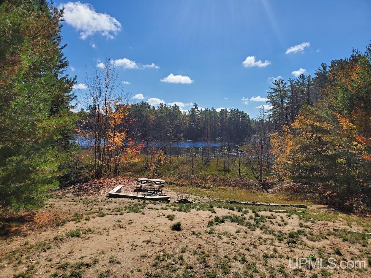 9798 South Ross Lake Road Shingleton, MI 49884 - Photo 17 of 24 Gallery Image 17