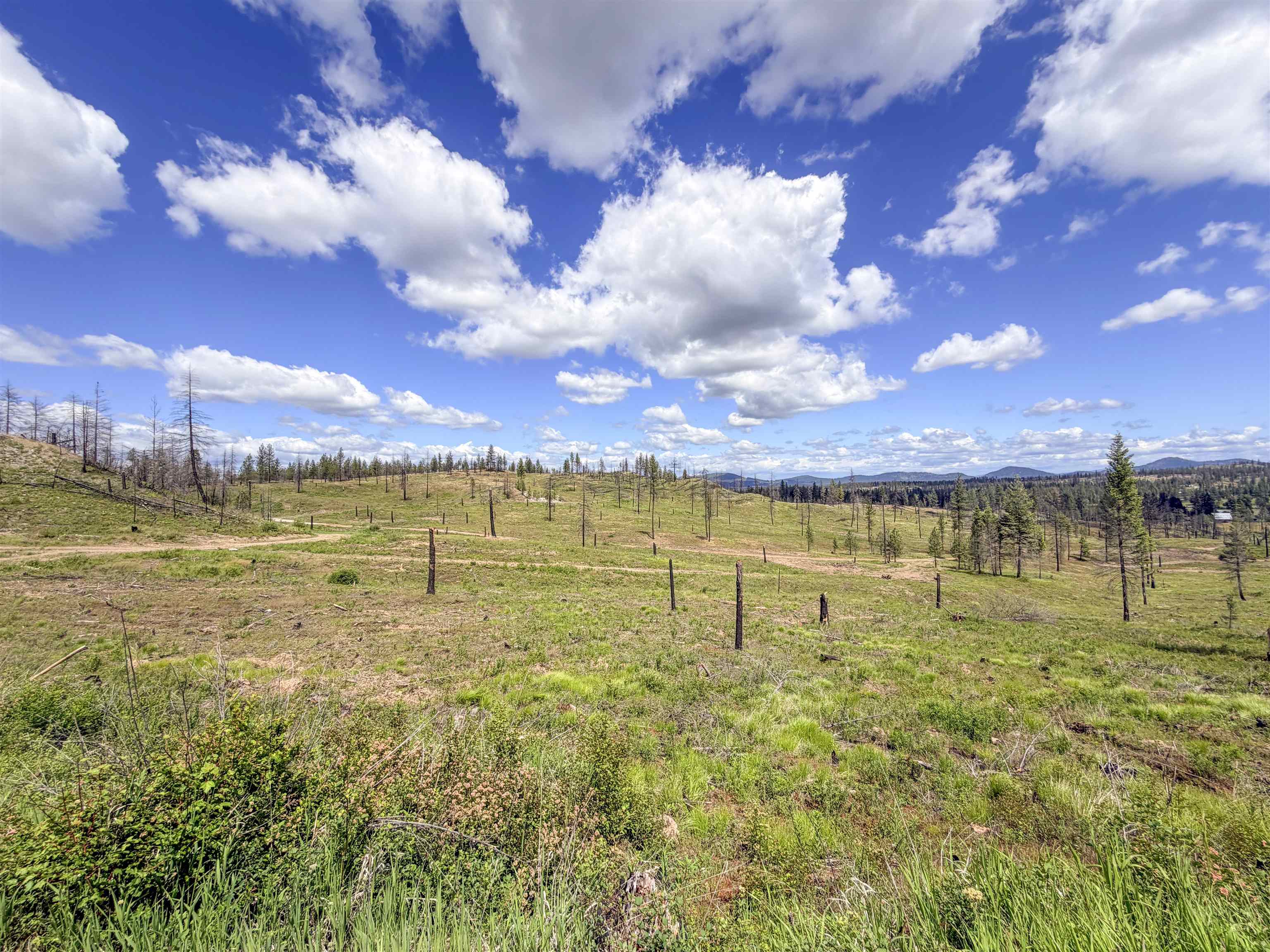 357-xx North Conklin Road Elk, WA 99009 - Photo 29 of 40 Gallery Image 29