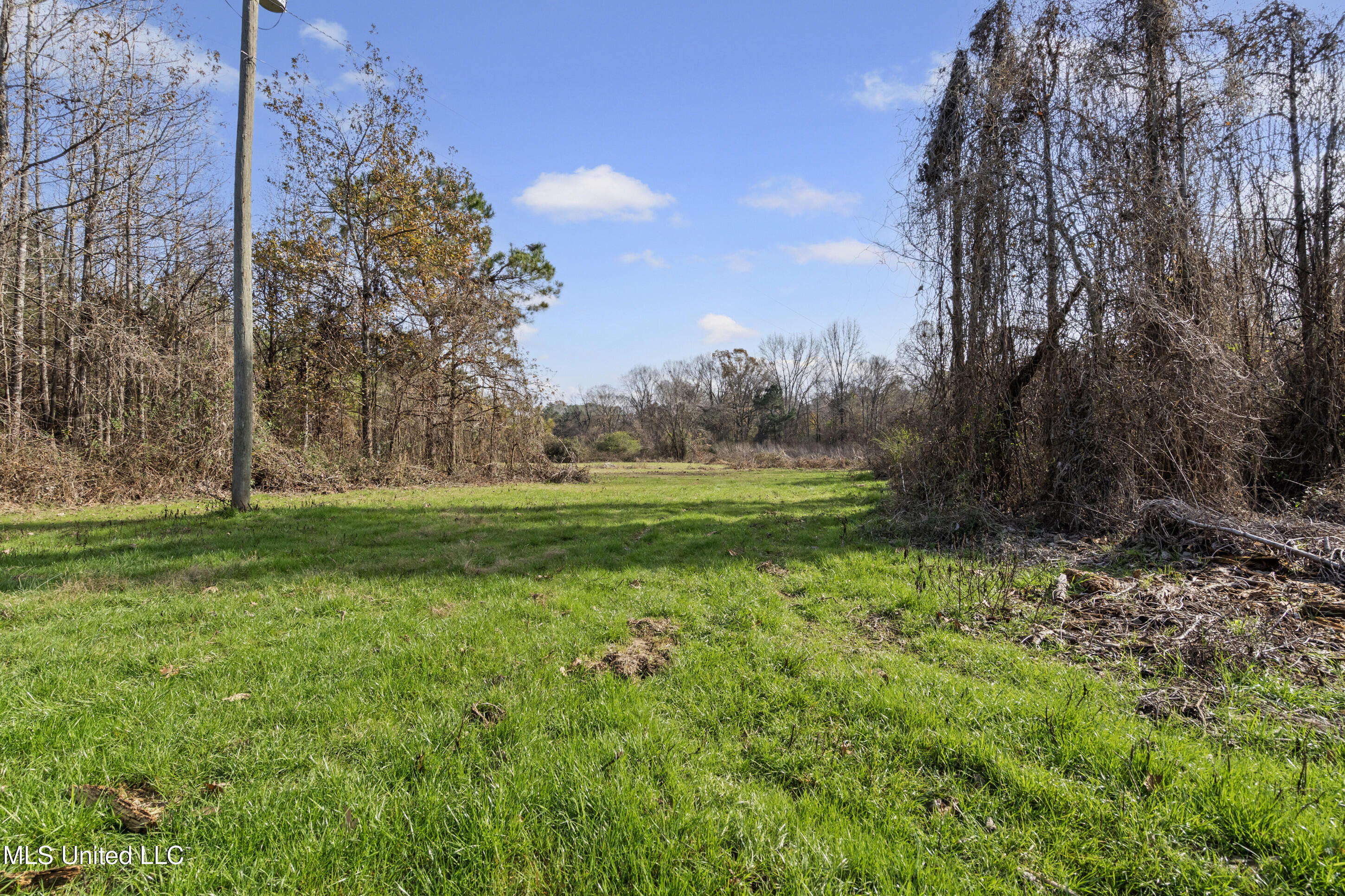 6920 Old Panola Road Sardis, MS 38666 - Photo 19 of 25 19__dsc2790_print