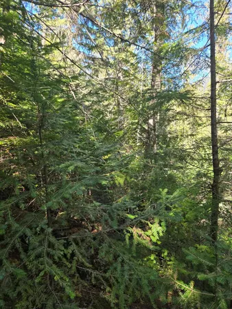 $68,500 | 192 Meadowlark Lane, Ione, WA 99139