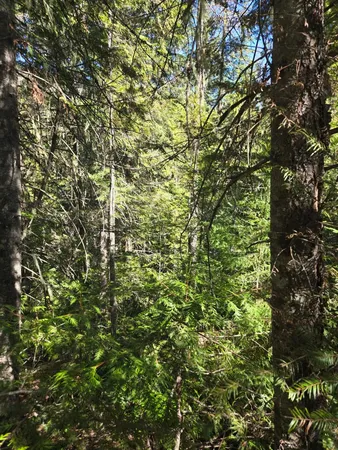 $68,500 | 192 Meadowlark Lane, Ione, WA 99139