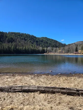 $68,500 | 192 Meadowlark Lane, Ione, WA 99139