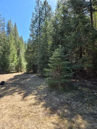 $68,500 | 192 Meadowlark Lane, Ione, WA 99139