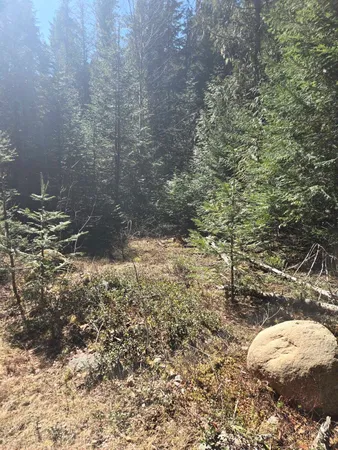 $68,500 | 192 Meadowlark Lane, Ione, WA 99139