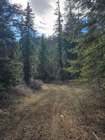 $68,500 | 192 Meadowlark Lane, Ione, WA 99139
