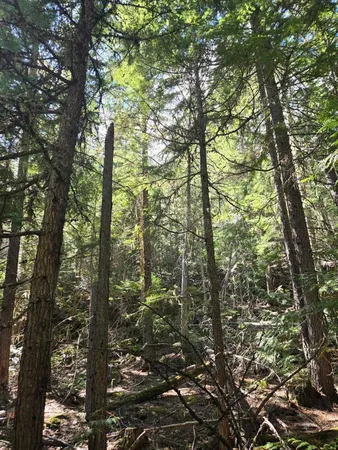 $68,500 | 192 Meadowlark Lane, Ione, WA 99139