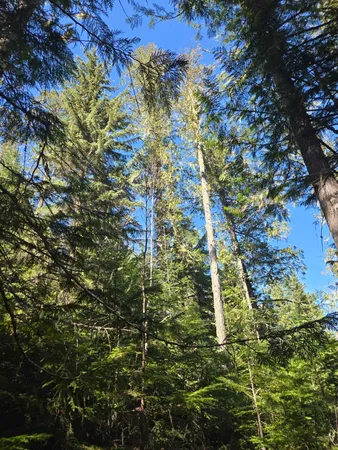 $68,500 | 192 Meadowlark Lane, Ione, WA 99139