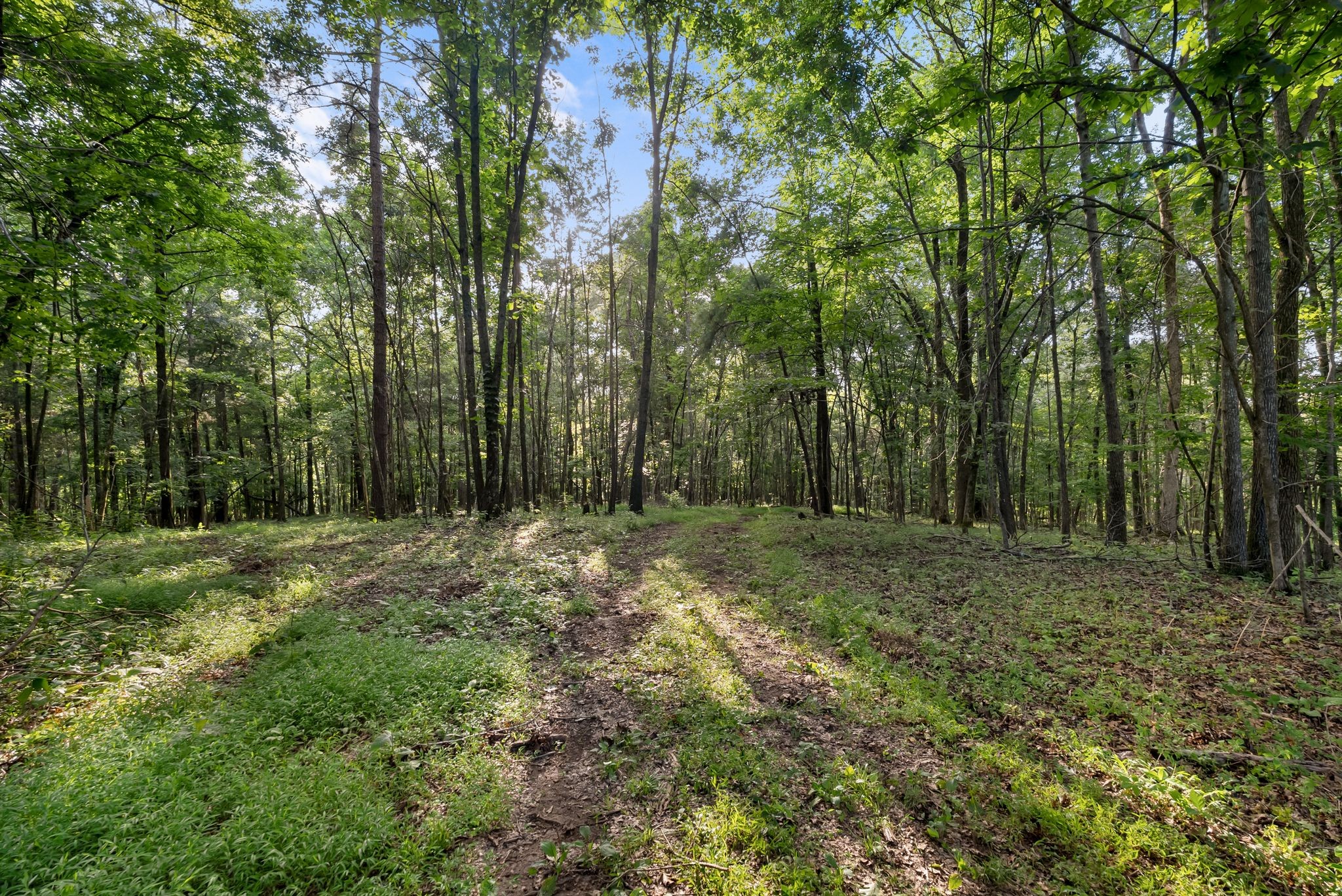 2942 Newman Road Ardmore, TN 38449 - Photo 40 of 63 Gallery Image 40