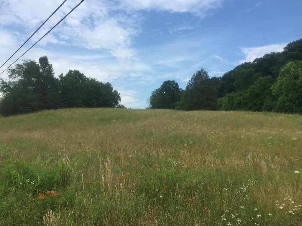 0 Rader Sidetrack Road Mosheim, TN 37818 - Photo 4 of 15 Photo 4