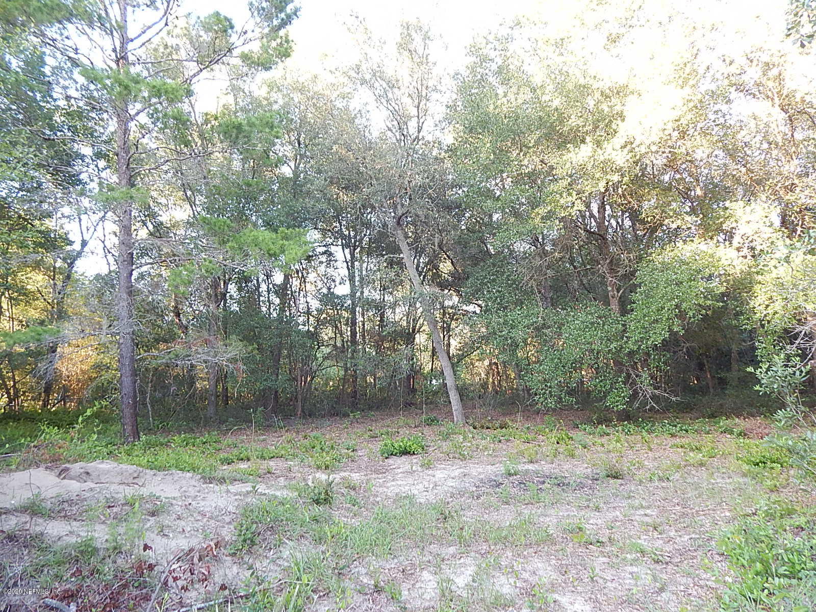 6527 Brooklyn Bay Road Keystone Heights, FL 32656 - Photo 8 of 40 Brooklyn Bay 5 acres (1)