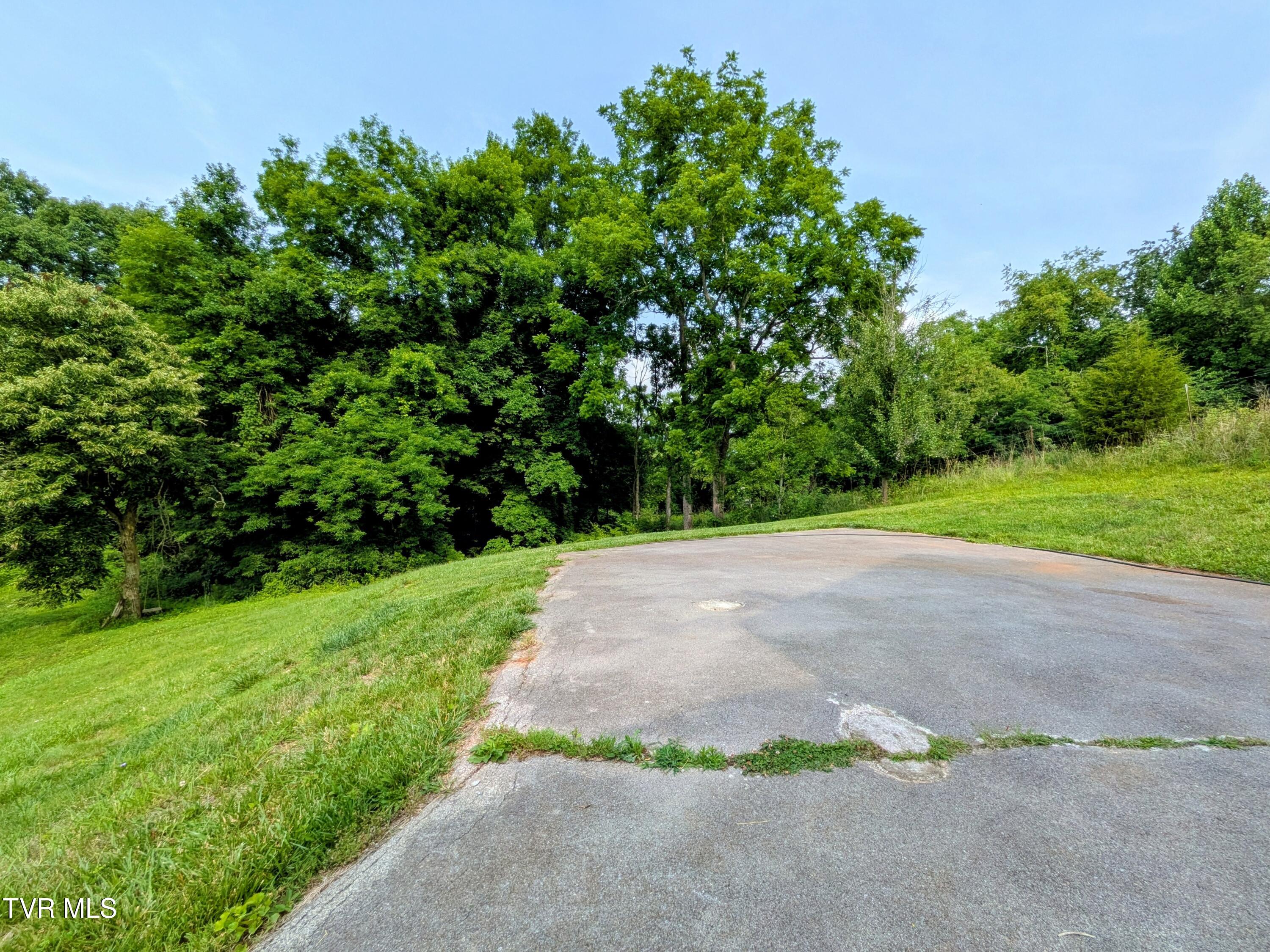 113 Nave Hollow Road Elizabethton, TN 37643 - Photo 86 of 91 Property(6)