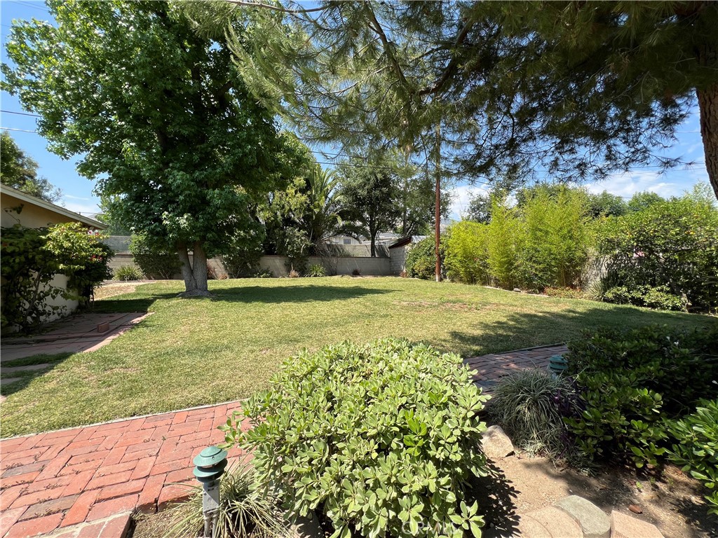 3835 Canfield Road Pasadena, CA 91107 - Photo 12 of 15 a view of a yard with plants and trees