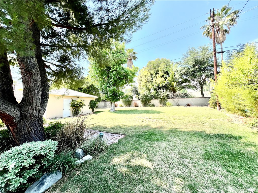 3835 Canfield Road Pasadena, CA 91107 - Photo 13 of 15 a view of yard with tree and green space