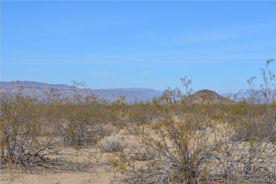 Lot M16 Roll Road Yucca, AZ 86438 - Photo 16 of 18