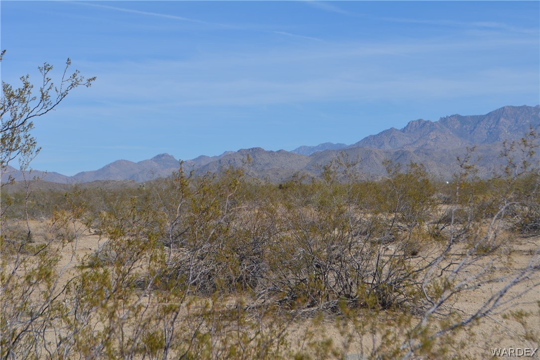 Lot M16 Roll Road Yucca, AZ 86438 - Photo 18 of 18
